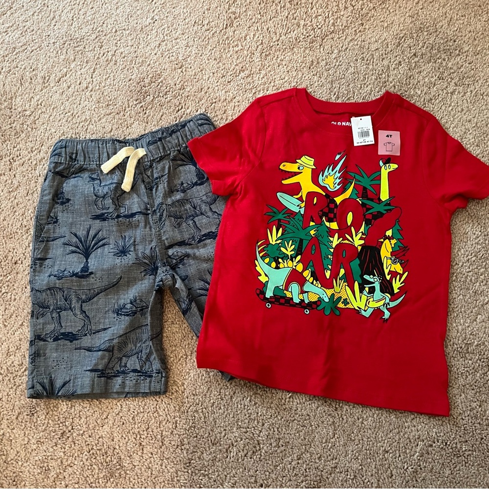 Dino Boys 4T Shorts and Shirt